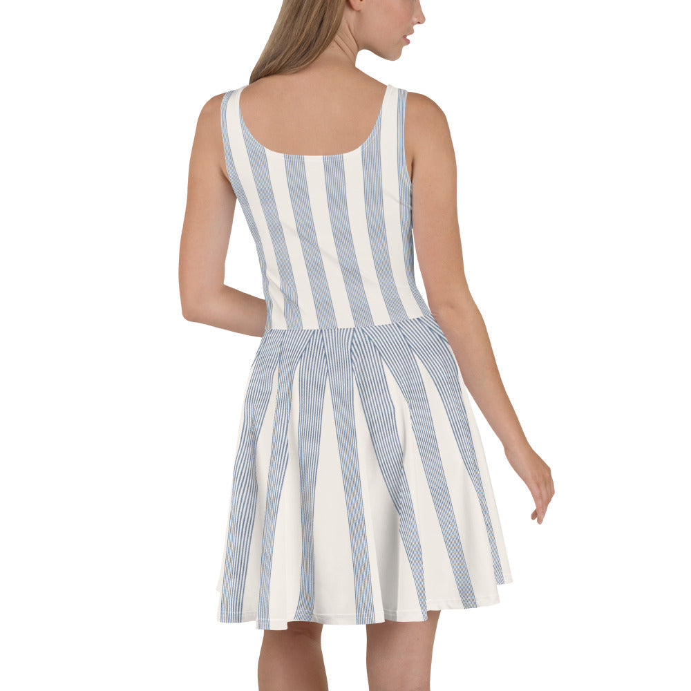 Blue & Ivory Skater Dress