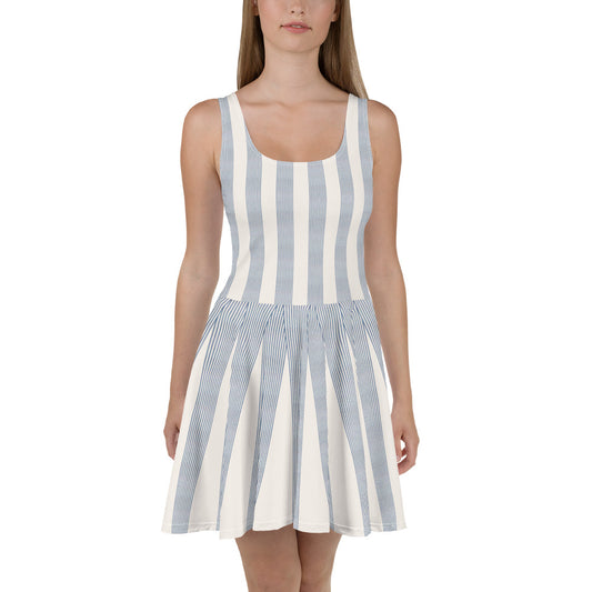 Blue & Ivory Skater Dress